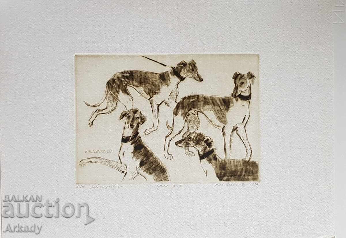 Gravură. Câini. Din serie