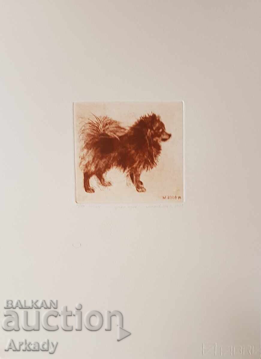 Οξυγραφία. Σκύλοι. Από σειρά