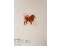 Οξυγραφία. Σκύλοι. Από σειρά