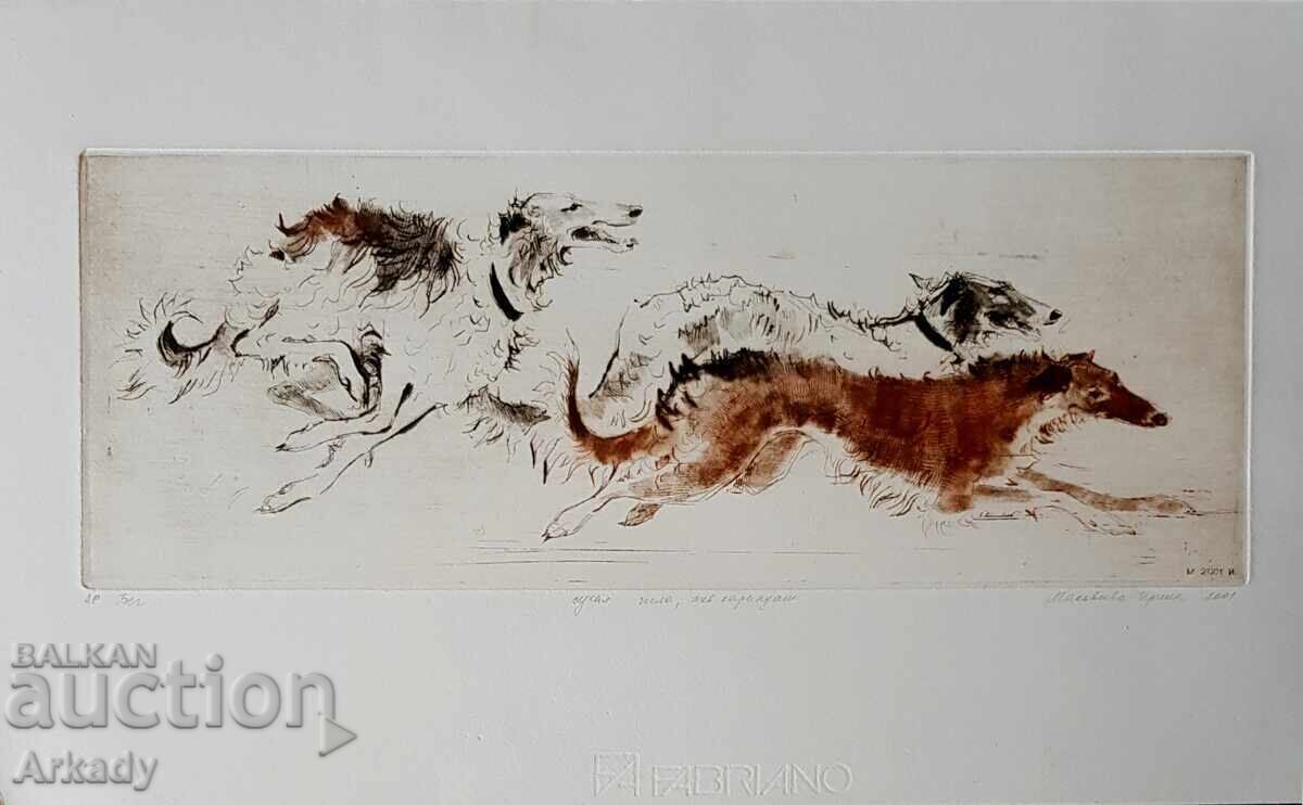 Οξυγραφία. Σκύλοι. Από σειρά Οξυγραφία. Σκύλοι. Από σειρά