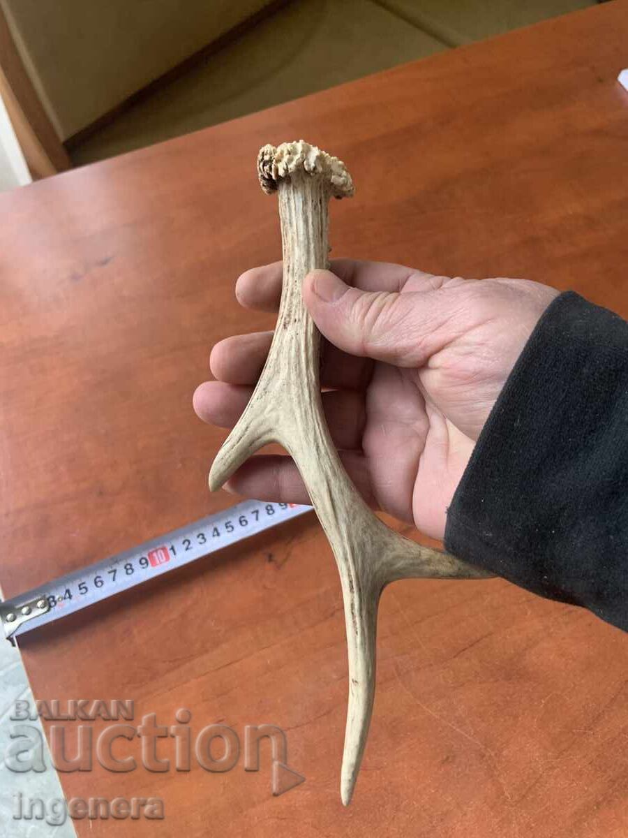 Livrarea ROG SARANDAK SARANDAK PENTRU MÂNER DE CUȚIT SAU ORNAMENT