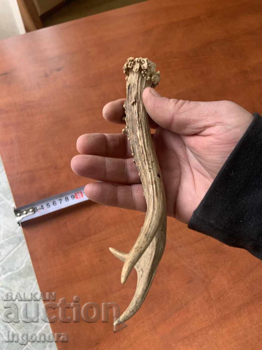 ROG SARANDAK SARANDAK PENTRU MÂNER DE CUȚIT SAU ORNAMENT cu preț € 9.00 | 17.60 BGN