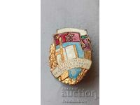 Insignă de merit pentru pregătire militară și politică, clasa a III-a