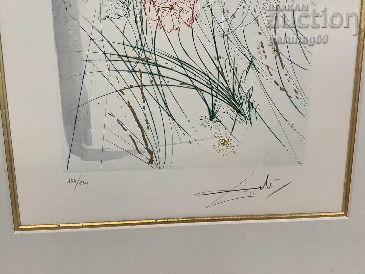 Original lithograph by Salvador Dalí (1904 - 1989) with price € 750.00 | 1466.88 BGN