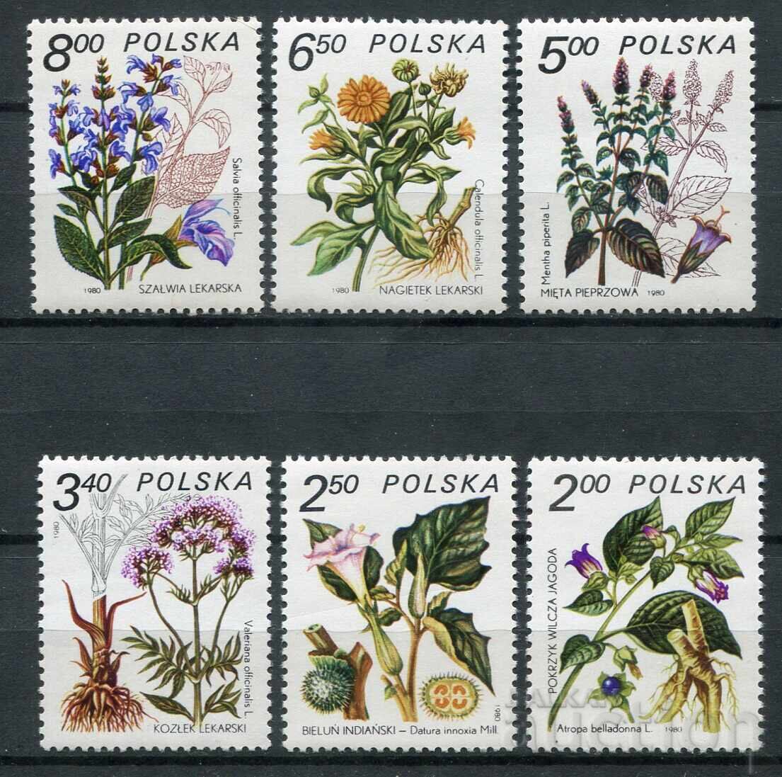 Πολωνία 1980g. MnH - Φυτά, φαρμακευτικά φυτά