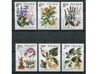 Polonia 1980 MnH - Floră, plante medicinale