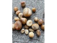 МНОГО СТАР ГЕРДАН ? БРОЕНИЦА ? ОТ 1960-те ОТ РОГ НА НОСОРОГ