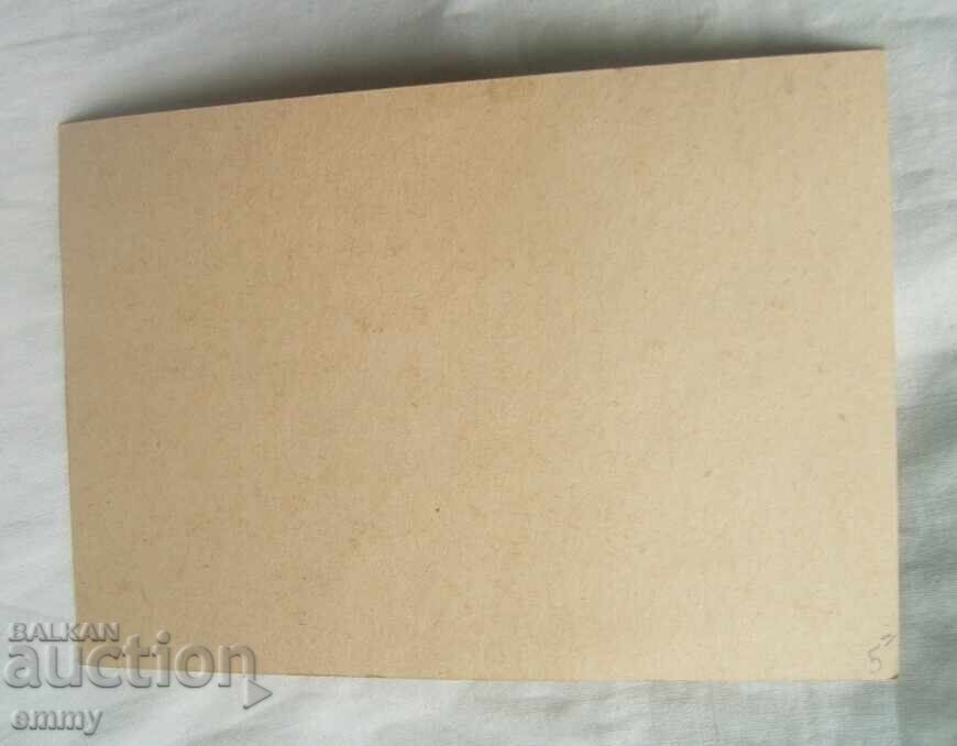 Licitație Carte poștală - IX Adunare a Societății Sokol, 1939 Licitație Carte poștală - IX Adunare a Societății Sokol, 1939