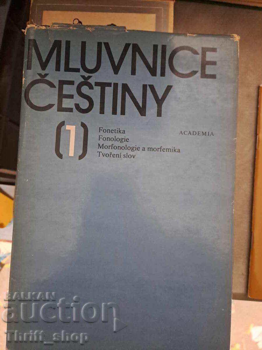 Mluvnice češtiny 1