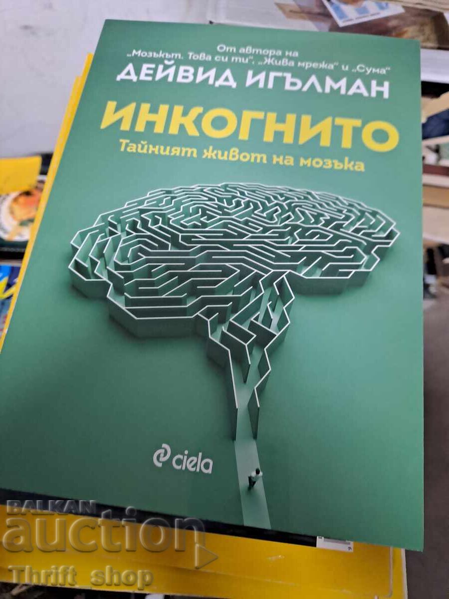 Ανώνυμος Ντέιβιντ Ίγκλμαν