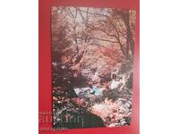 Carte poștală Coreea de Nord - A 7069