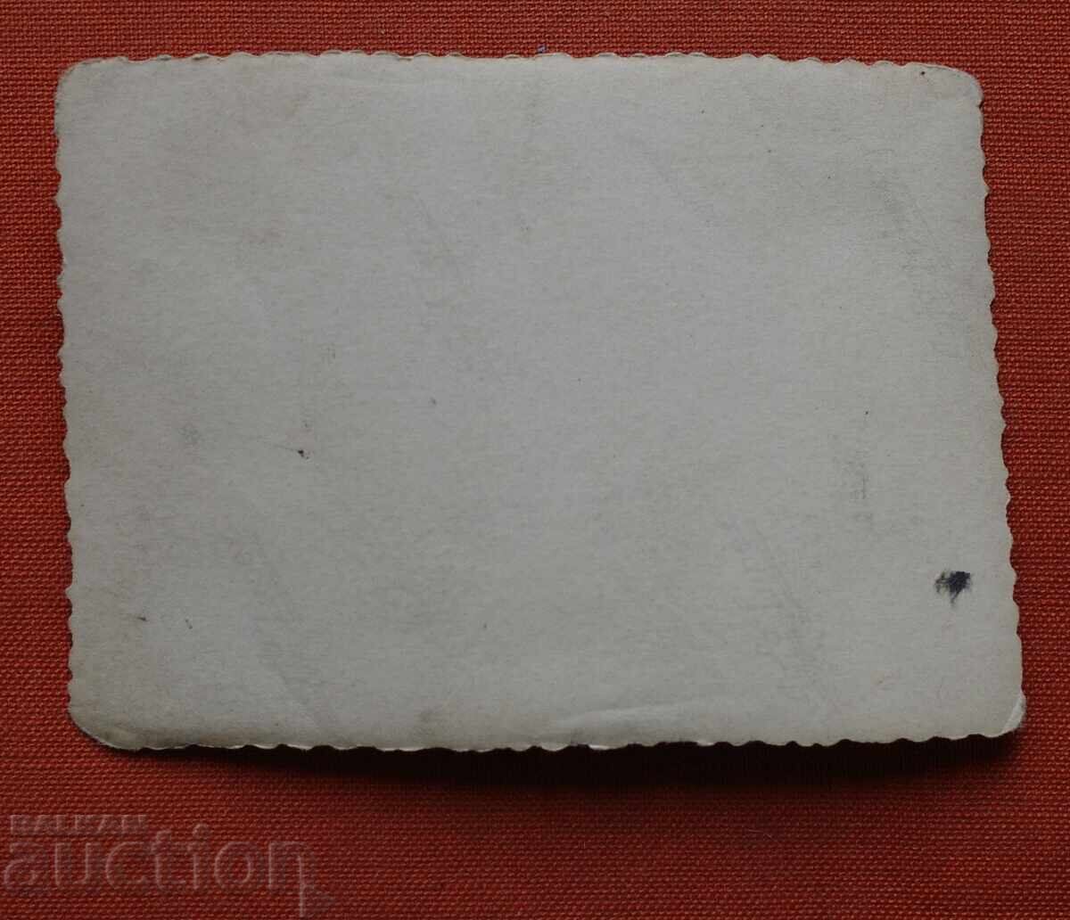 Δημοπρασία Πιλότοι