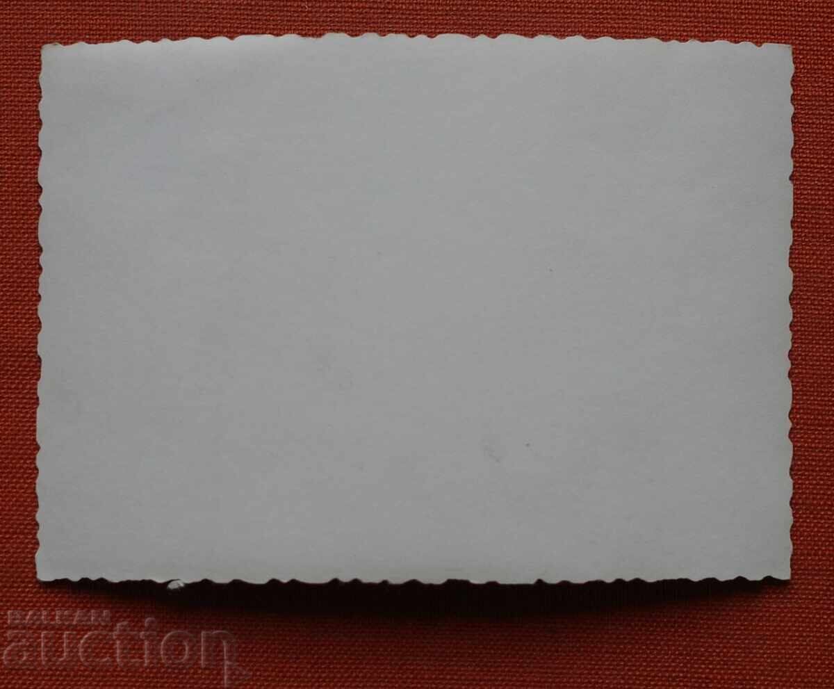 Δημοπρασία Παραλία Θάλασσα