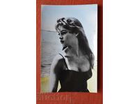 Brigitte Bardot