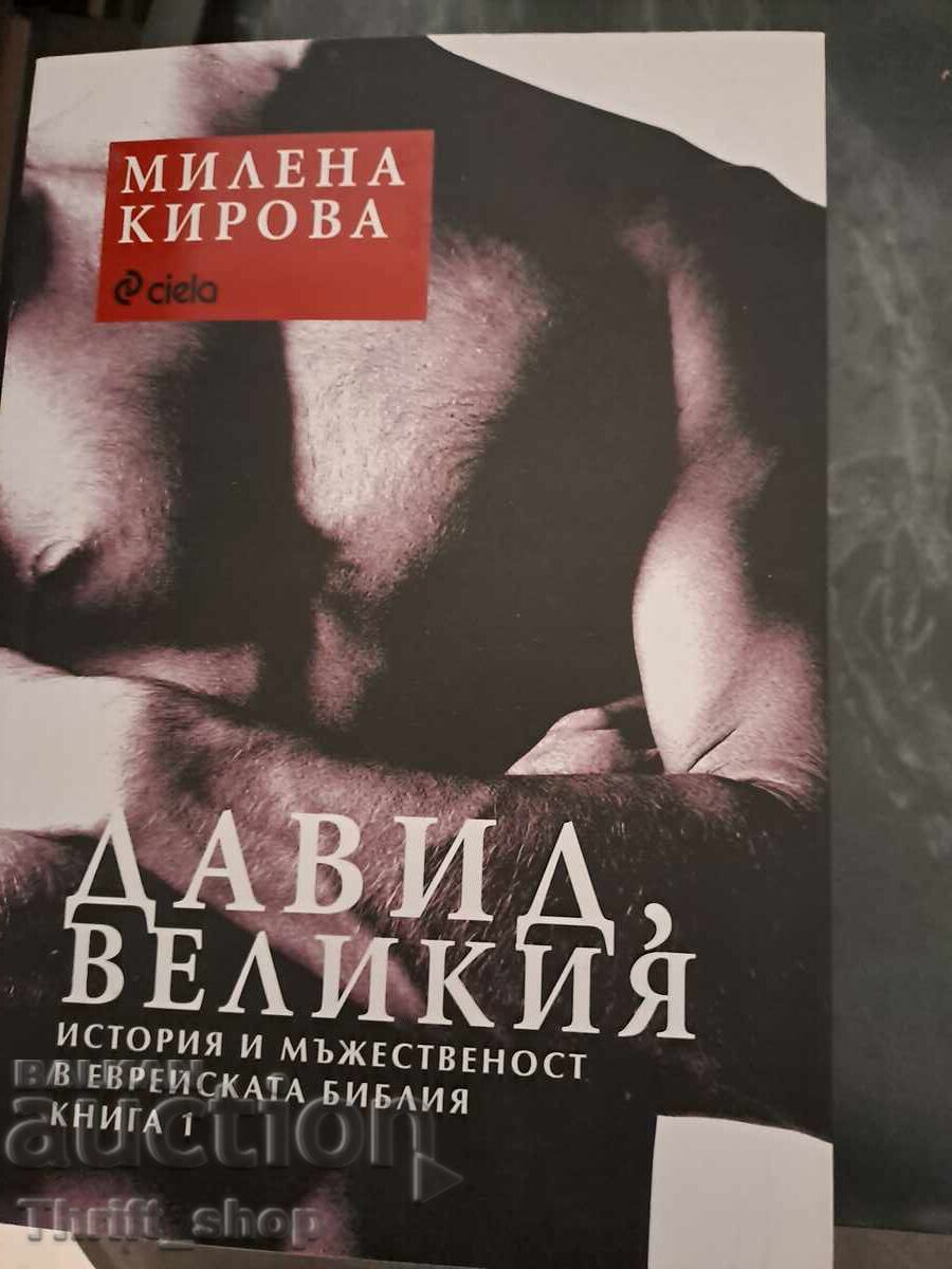 David, Velikiya. Kniga 1 Milena Kirova