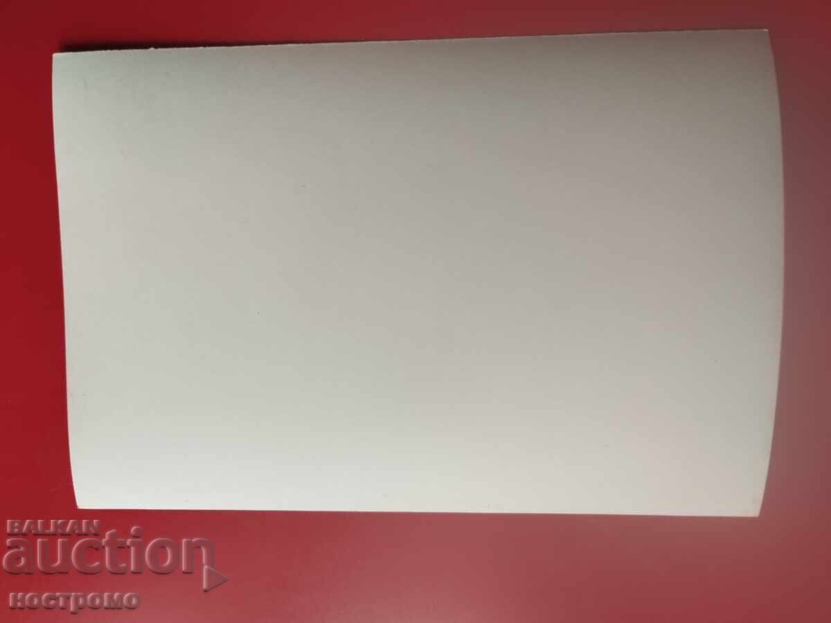 Сватба - Стара снимка - А 7090 с цена € 0.50 | 0.98 лв.