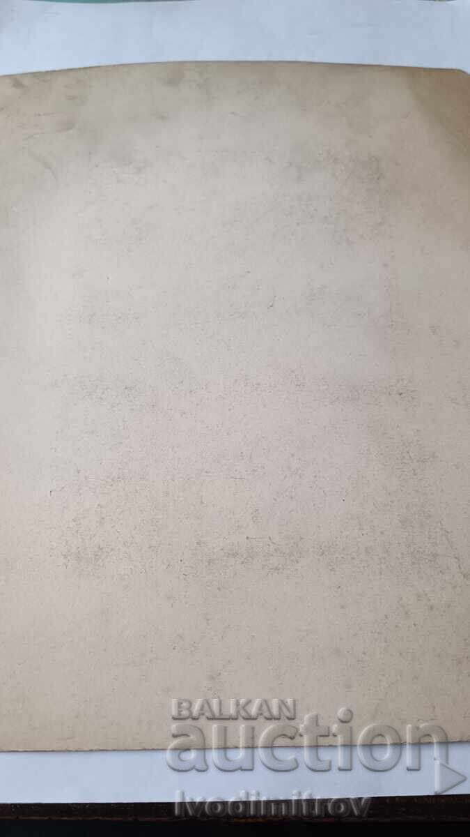 Φωτογραφία Άνδρες και γυναίκες σε ξύλινη γέφυρα στο βουνό Καρτόν με τιμή € 7.38 | 14.43 BGN