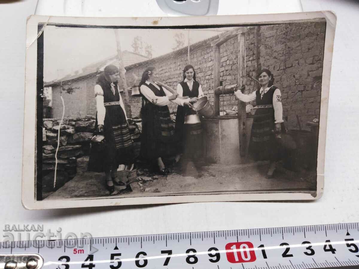 FOTO-COSTUM REGAL, GERAN, BAKAR, KOBILITSA cu preț € 0.01 | 0.02 BGN
