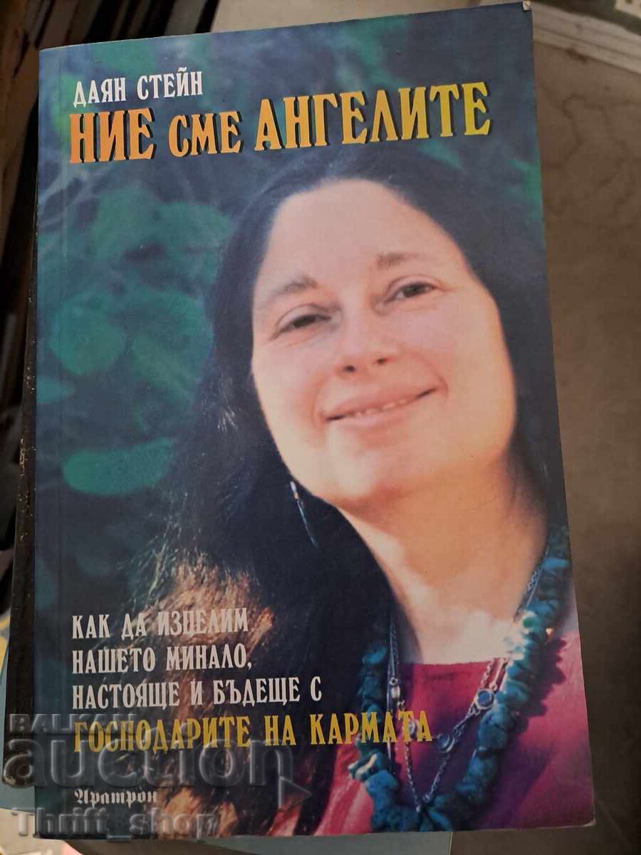 We are the angels Diane Stein