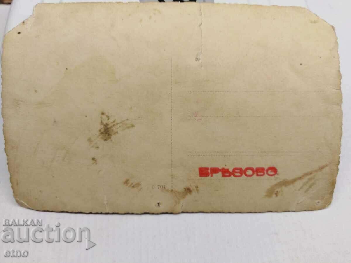 Auction  ROYAL PHOTO-RETRO MERCEDES-PLOVDIV-BREZOVO BUS, TRUCK