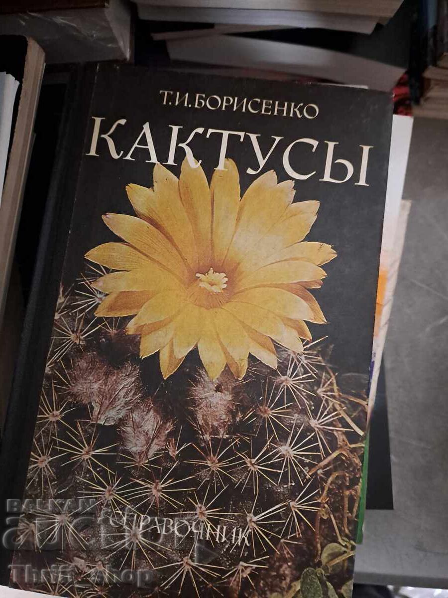 Кактусь