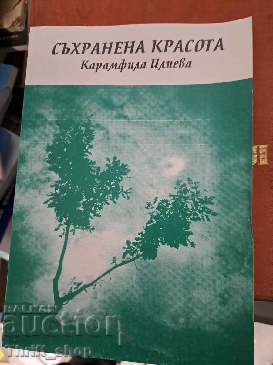 Păstrată Frumoasa Crizantemei Ilieva