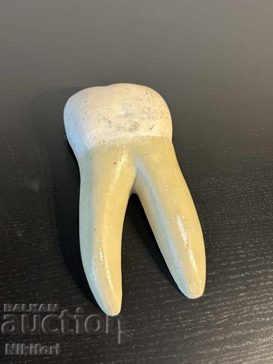 Sotsialen Ucheben Model na Choveshki Zŭb Razrez - 6