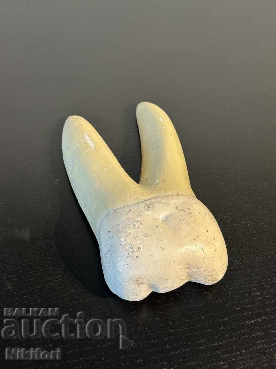 Sotsialen Ucheben Model na Choveshki Zŭb Razrez - 7