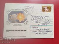 Rusiya - pŭtuval plik - A 7117