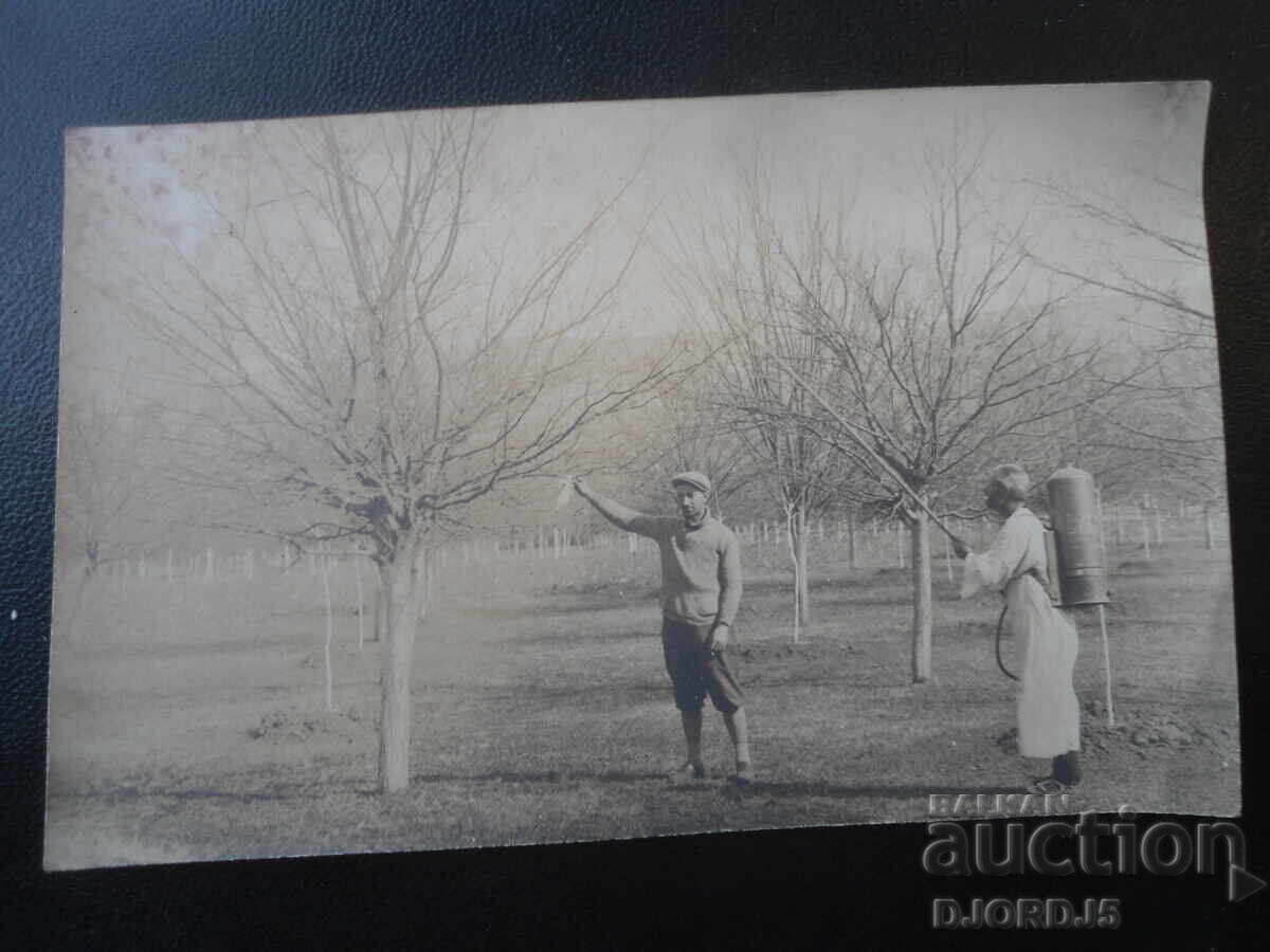 Old photo, March 20, 1930