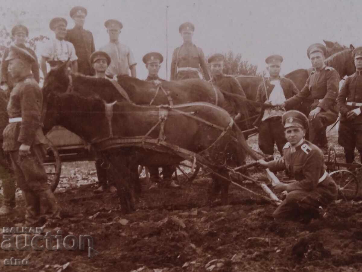 ΒΑΣΙΛΙΚΗ ΦΩΤΟΓΡΑΦΙΑ, ΦΟΡΕΣΙΑ, ΙΠΠΕΑΣ, ΣΤΡΑΤΙΩΤΗΣ, ΣΤΟΛΗ, ΑΛΟΓΟ, όραν, άροτρο με τιμή € 0.01 | 0.02 BGN ΒΑΣΙΛΙΚΗ ΦΩΤΟΓΡΑΦΙΑ, ΦΟΡΕΣΙΑ, ΙΠΠΕΑΣ, ΣΤΡΑΤΙΩΤΗΣ, ΣΤΟΛΗ, ΑΛΟΓΟ, όραν, άροτρο με τιμή € 0.01 | 0.02 BGN