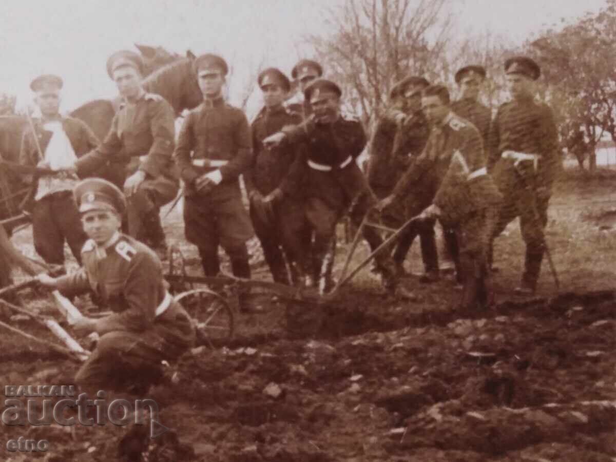 Δημοπρασία ΒΑΣΙΛΙΚΗ ΦΩΤΟΓΡΑΦΙΑ, ΦΟΡΕΣΙΑ, ΙΠΠΕΑΣ, ΣΤΡΑΤΙΩΤΗΣ, ΣΤΟΛΗ, ΑΛΟΓΟ, όραν, άροτρο Δημοπρασία ΒΑΣΙΛΙΚΗ ΦΩΤΟΓΡΑΦΙΑ, ΦΟΡΕΣΙΑ, ΙΠΠΕΑΣ, ΣΤΡΑΤΙΩΤΗΣ, ΣΤΟΛΗ, ΑΛΟΓΟ, όραν, άροτρο