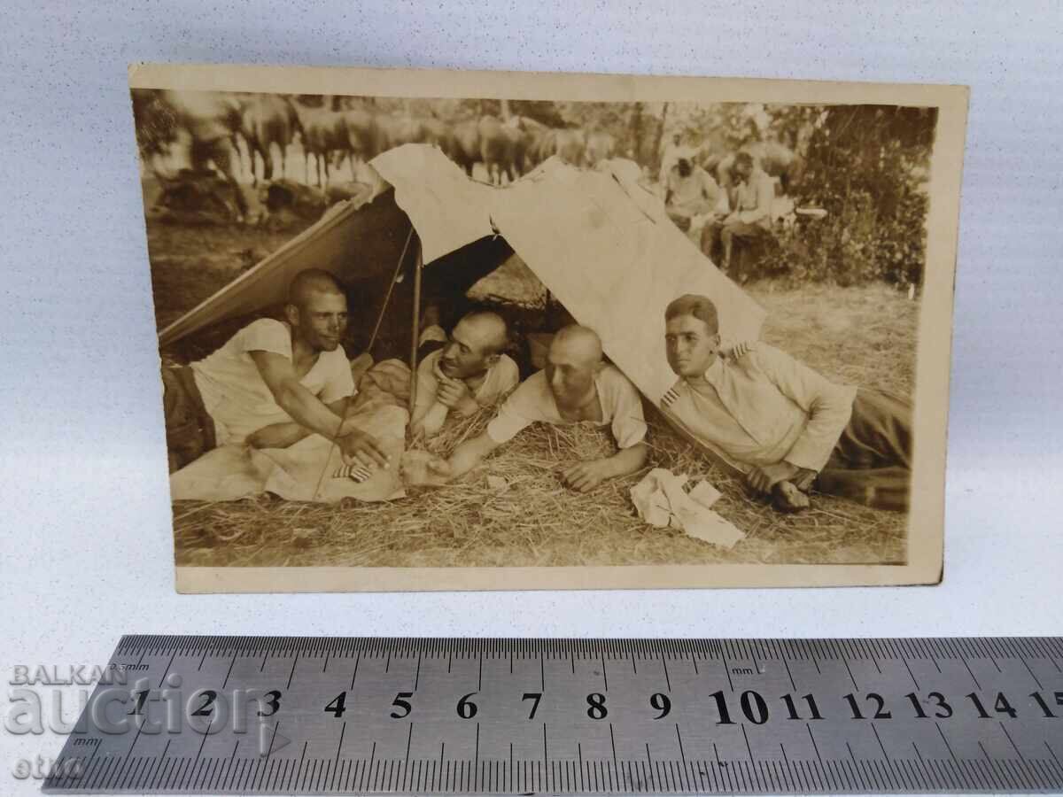 1928 Γ. ΒΑΣΙΛΙΚΗ ΦΩΤΟΓΡΑΦΙΑ, ΙΠΠΕΑΣ, ΣΤΡΑΤΙΩΤΗΣ, 3ο Σύνταγμα Ιππικού με τιμή € 0.01 | 0.02 BGN 1928 Γ. ΒΑΣΙΛΙΚΗ ΦΩΤΟΓΡΑΦΙΑ, ΙΠΠΕΑΣ, ΣΤΡΑΤΙΩΤΗΣ, 3ο Σύνταγμα Ιππικού με τιμή € 0.01 | 0.02 BGN