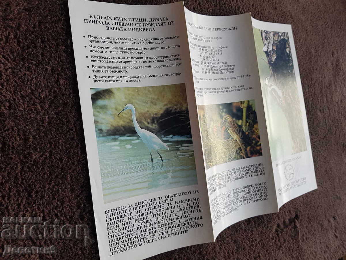 Livrarea BDPZ - Pliant publicitar