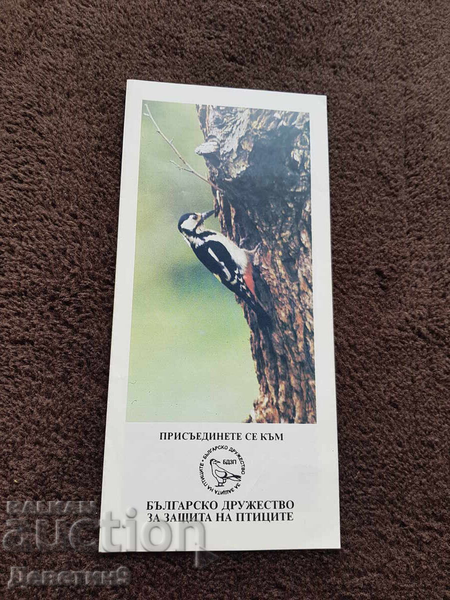 BDPZ - Pliant publicitar