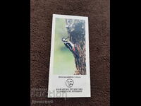 BDPZ - Pliant publicitar