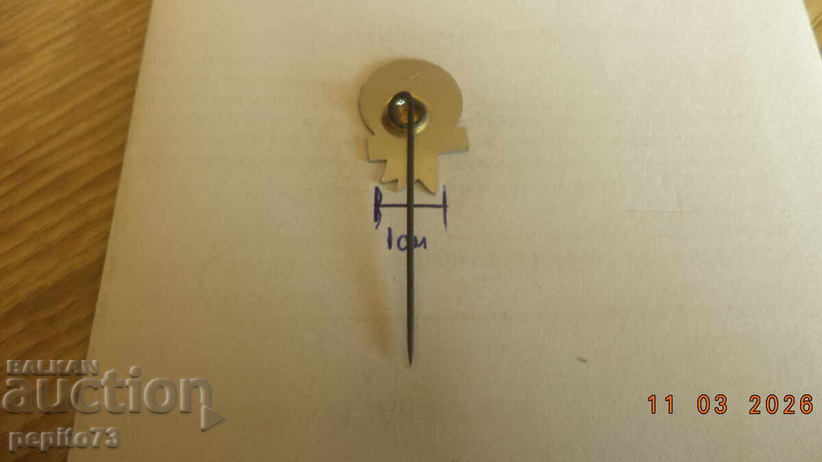 Livrarea Insignă publicitară, Hoogenbosch, comerț cu încălțăminte