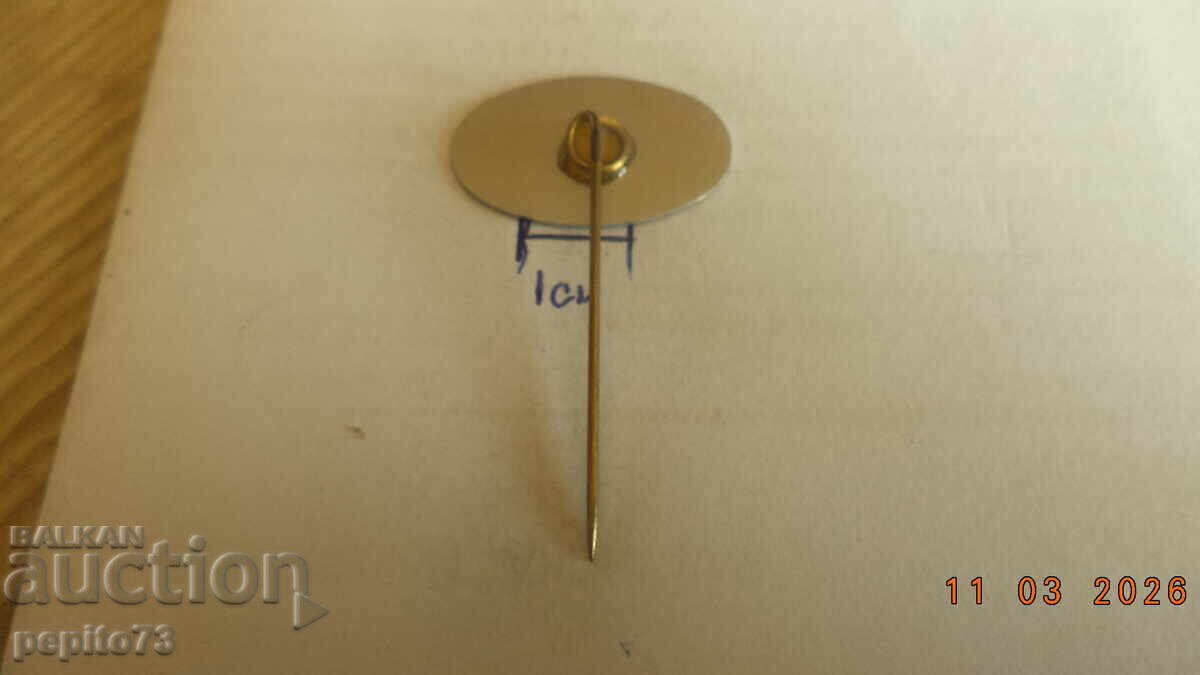 Delivery of Advertising badge, WAPSA, laundry detergent brand