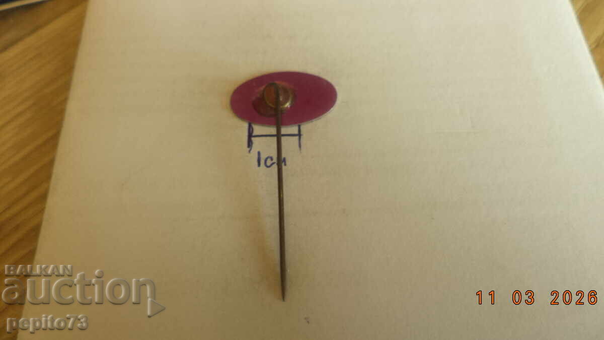 Livrarea Insignă publicitară, Raadhuis, papetărie Livrarea Insignă publicitară, Raadhuis, papetărie