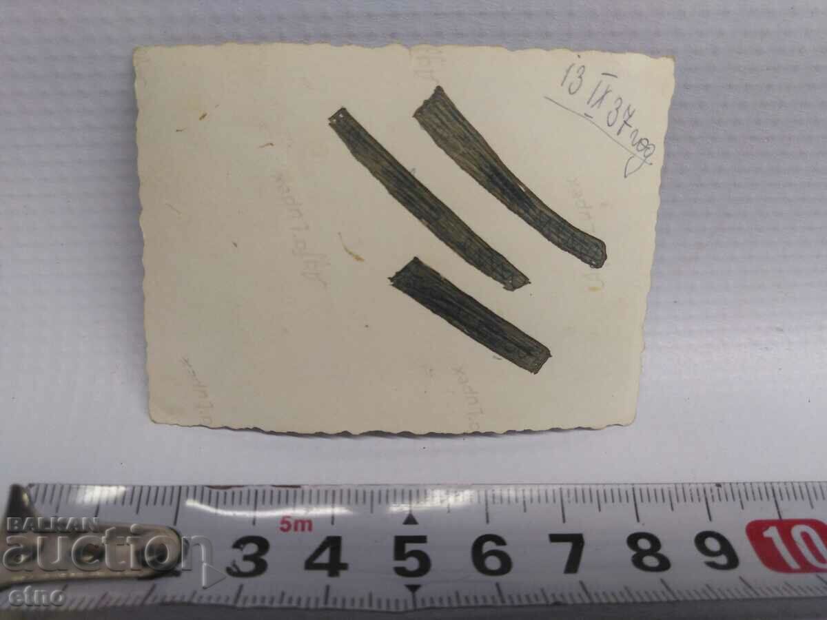 Licitație 1937, sat Vidrare, Teteven, Foto regal