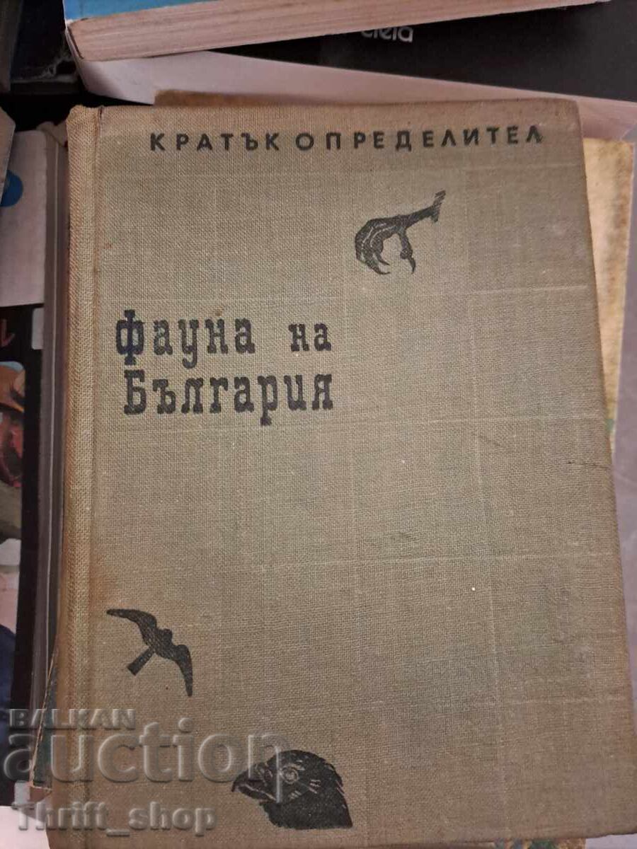 Fauna din Bulgaria Fauna din Bulgaria