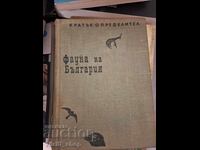 Fauna din Bulgaria