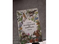 Καλειδοσκόπιο της φύσης Α.Καλέτσκι