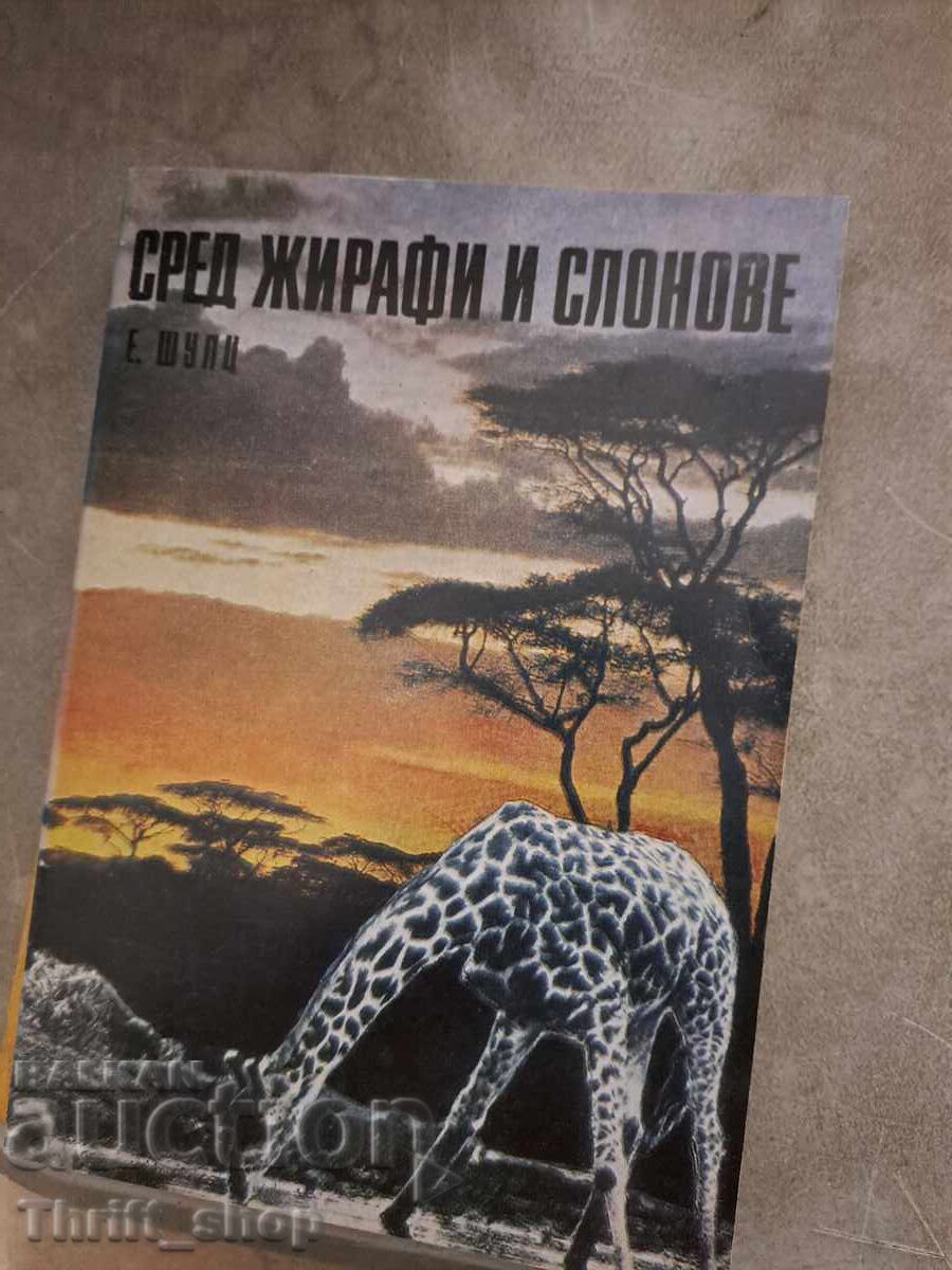 Сред жирафи и слонове