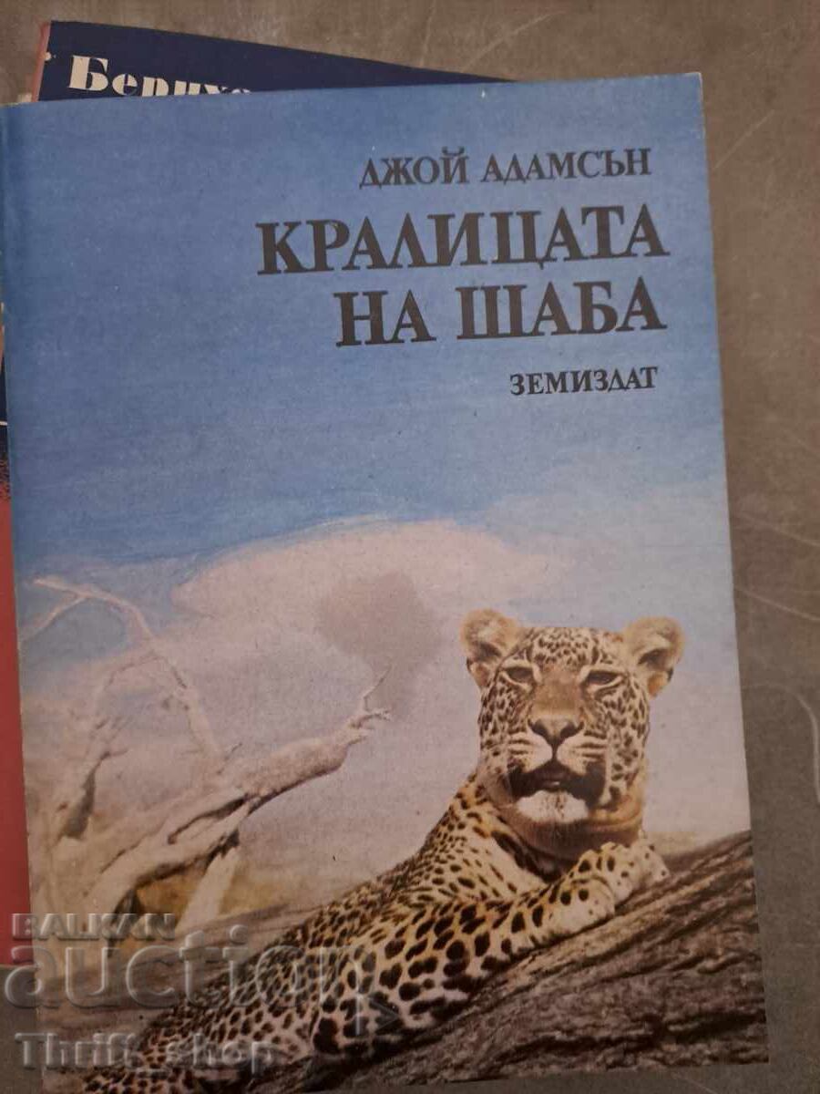 Queen of Sheba Joy Alamson Queen of Sheba Joy Alamson