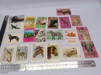 CALENDARE VECHI - 20 BUCĂȚI, Calendar, calendar