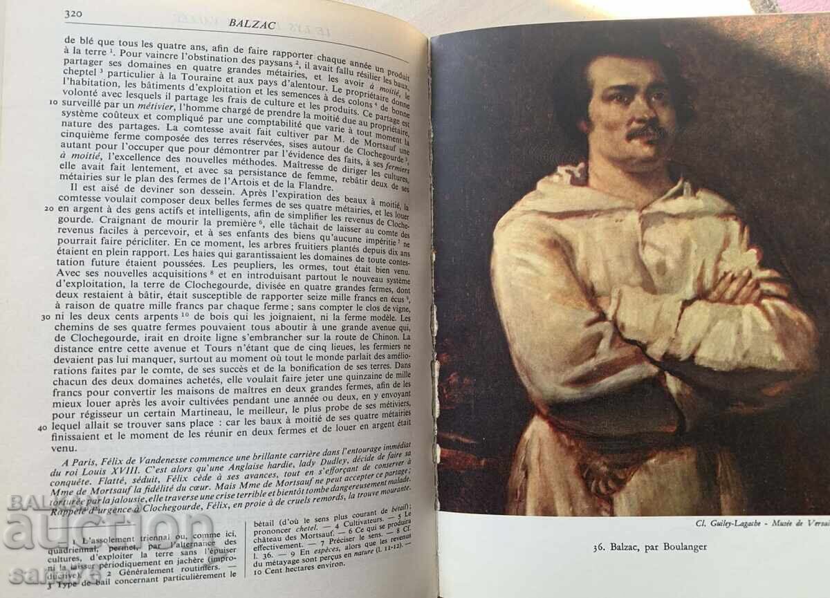 Δημοπρασία Luksozna frenska entsiklopediya-Golemi frenski avtori-XIX vek