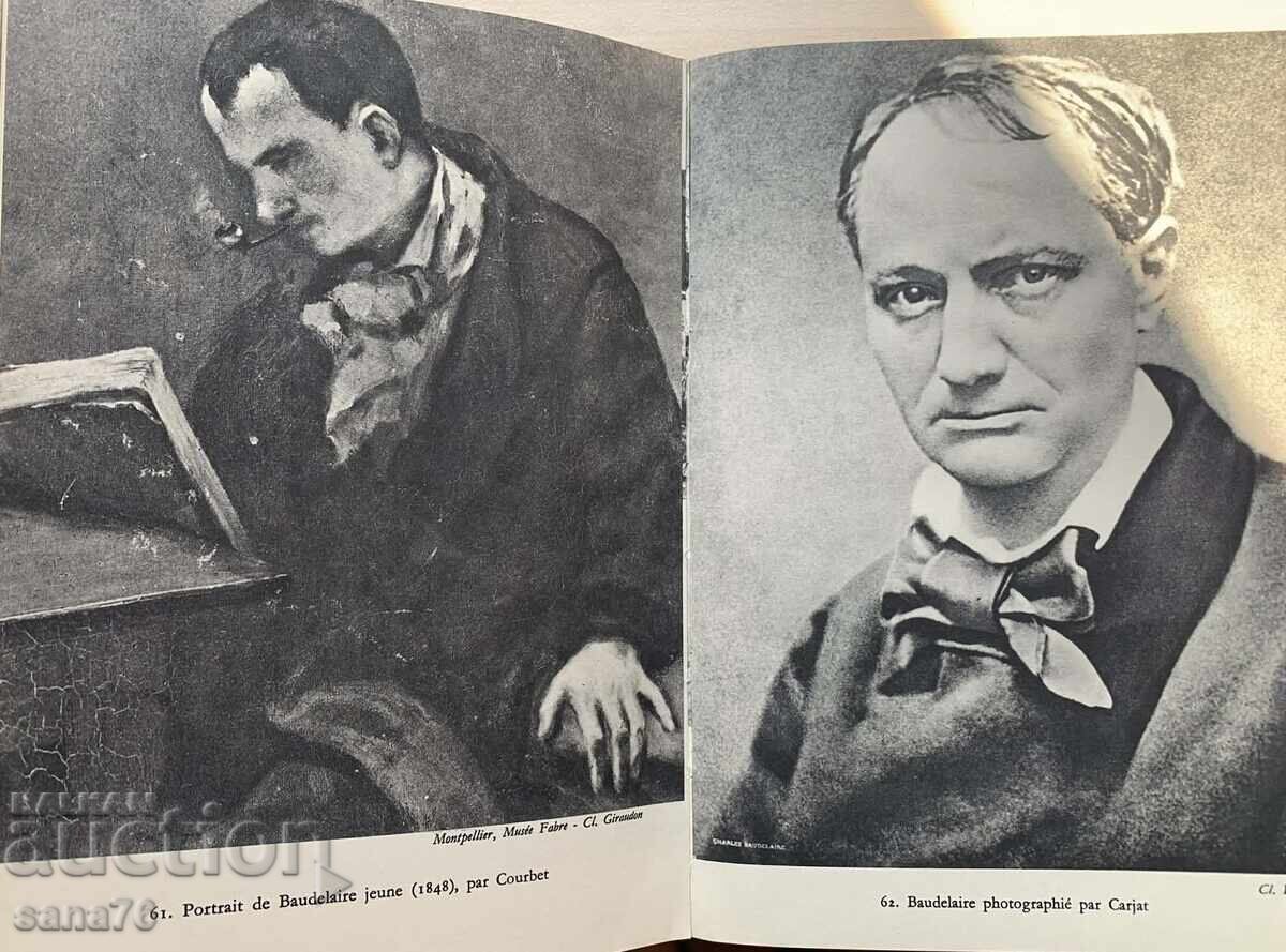 Luxury French Encyclopedia - Great French Authors - 19th Century - 6
