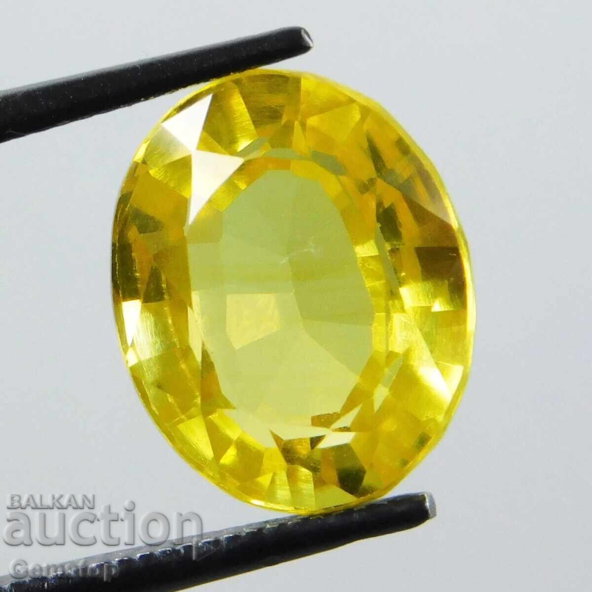 Δημοπρασία BZTS! 7.80 κ-τα φυσικό σάπφειρος οβάλ πιστοποιημένο IGL από 1στ! Δημοπρασία BZTS! 7.80 κ-τα φυσικό σάπφειρος οβάλ πιστοποιημένο IGL από 1στ!