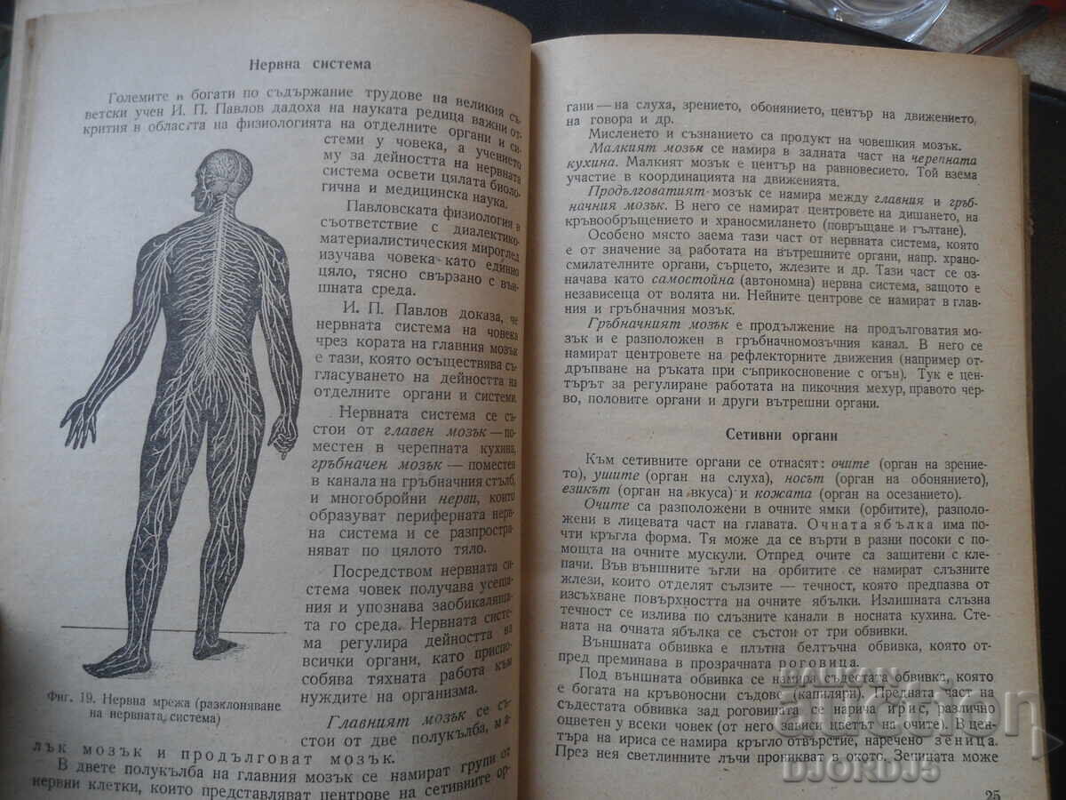 Ръковоство по ГСО - 5